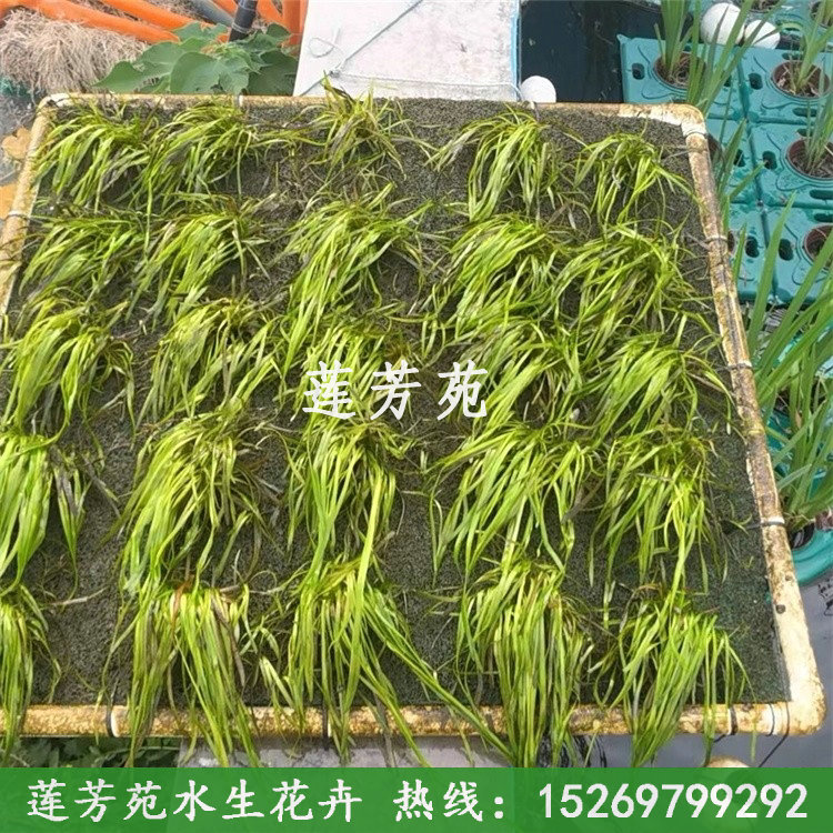 聚酯纖維生態沉床