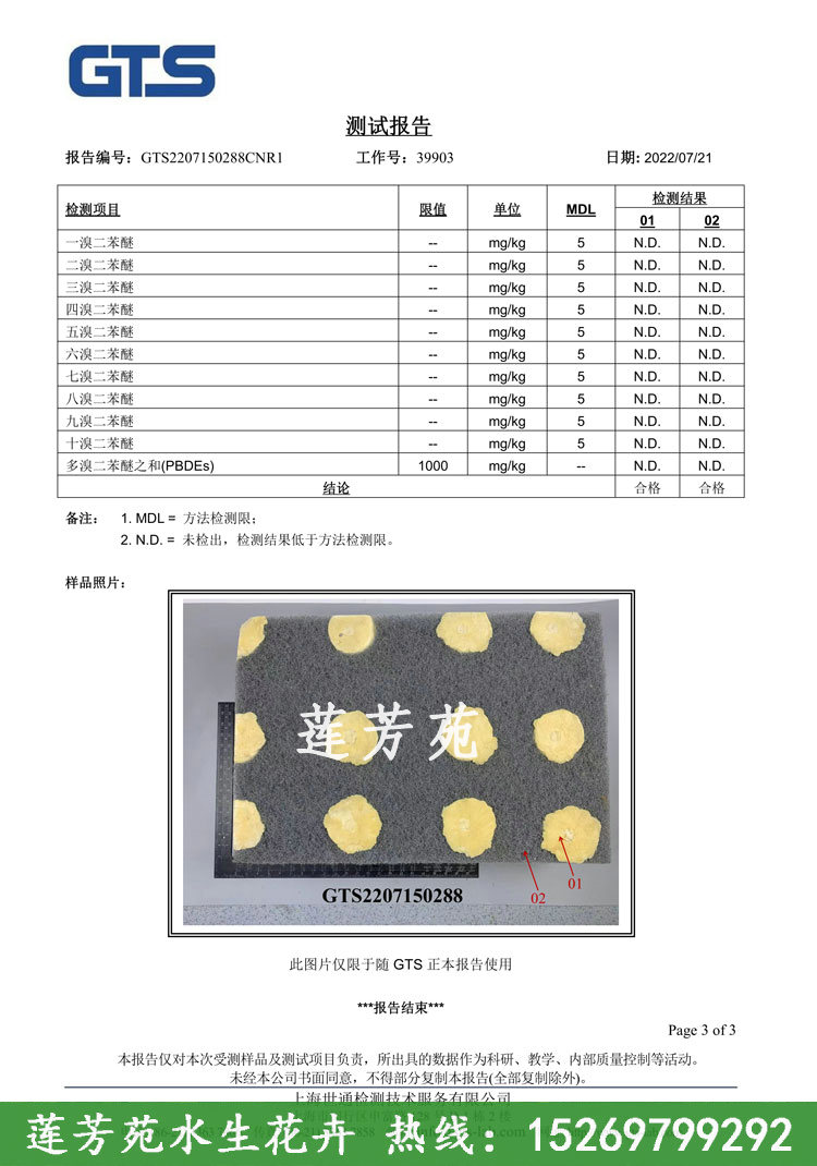 聚酯浮動(dòng)濕地檢測(cè)報(bào)告第3頁.jpg