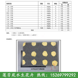 聚酯浮動(dòng)濕地檢測(cè)報(bào)告第3頁